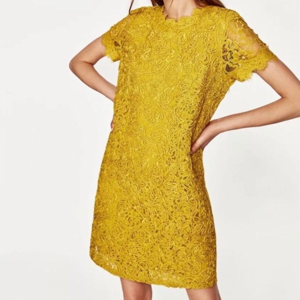 Zara Shift Dress Textured NWT